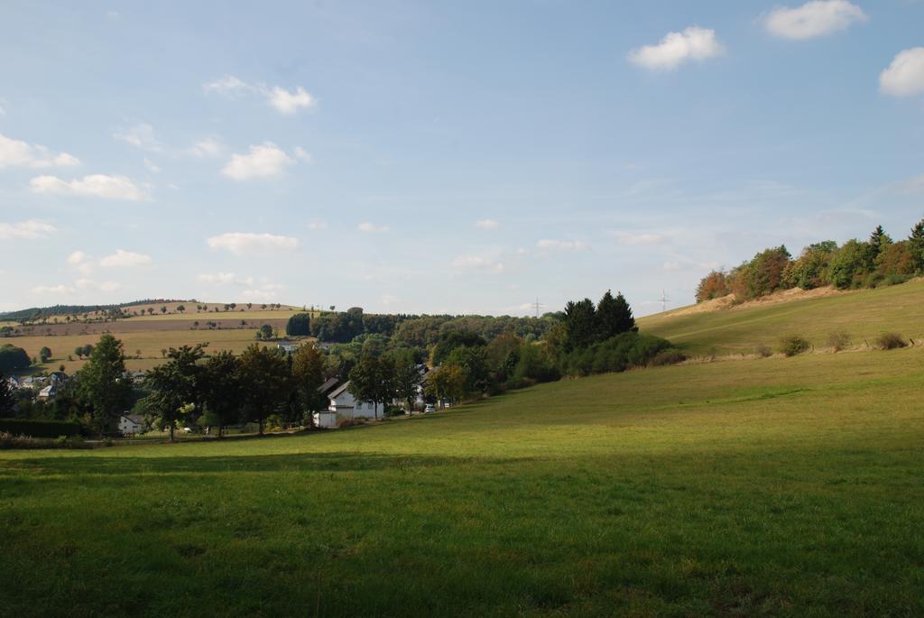 Pension Robin Hood Willingen  Exterior foto