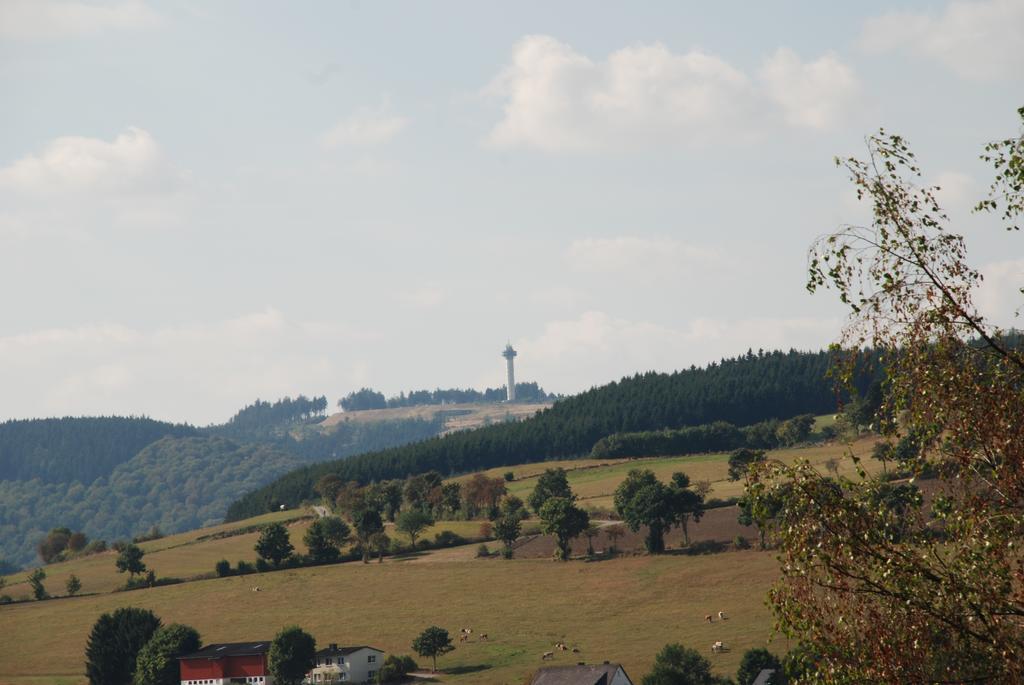 Pension Robin Hood Willingen  Exterior foto
