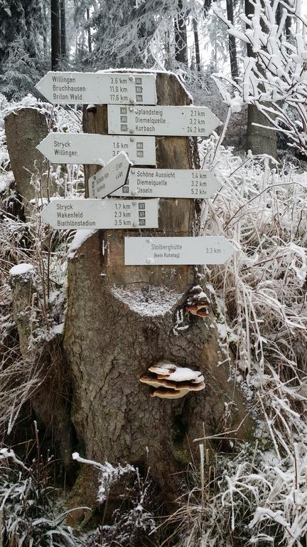 Pension Robin Hood Willingen  Exterior foto