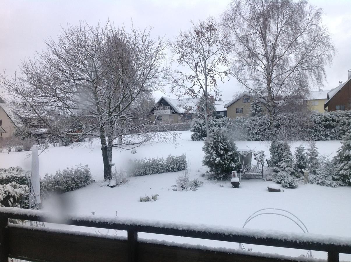 Pension Robin Hood Willingen  Exterior foto